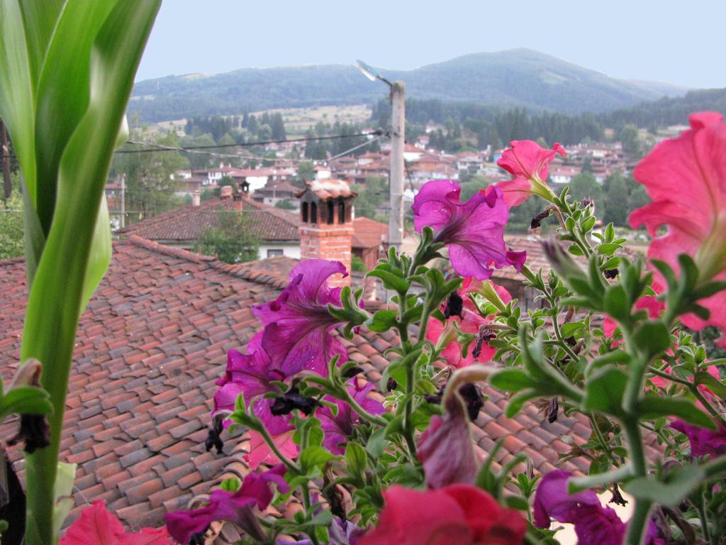 Guest House Lina Koprivshtitsa Exterior foto